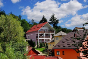 Casa Daiana Borşa